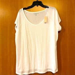 NWT Loft Plus White T-shirt Size 16/18